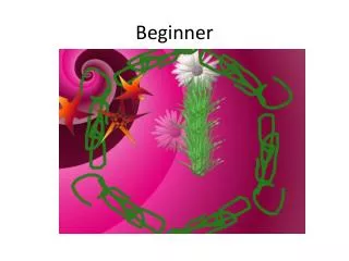 beginner