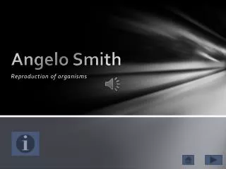 Angelo Smith