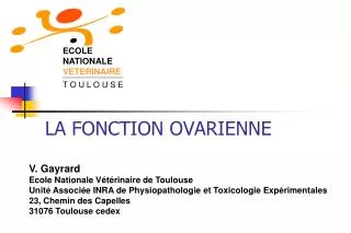 la fonction ovarienne