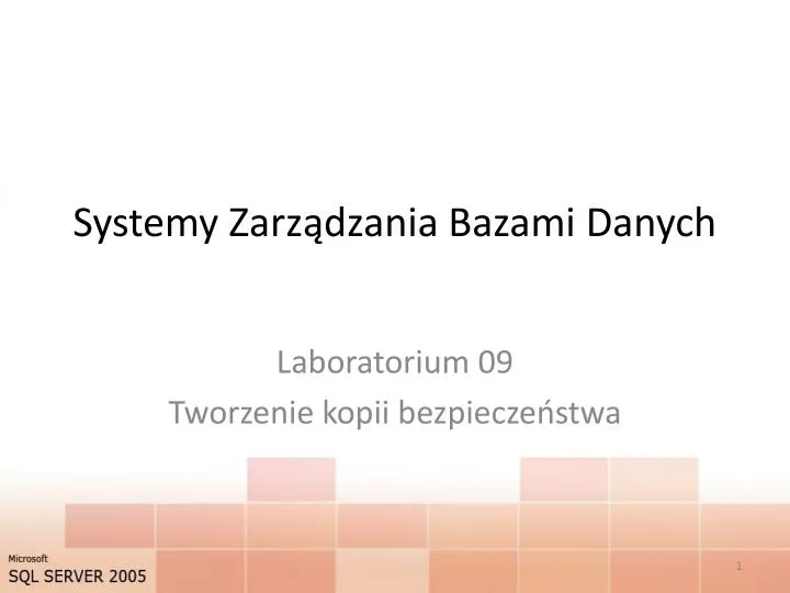 systemy zarz dzania bazami danych