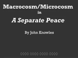 Macrocosm/Microcosm in A Separate Peace