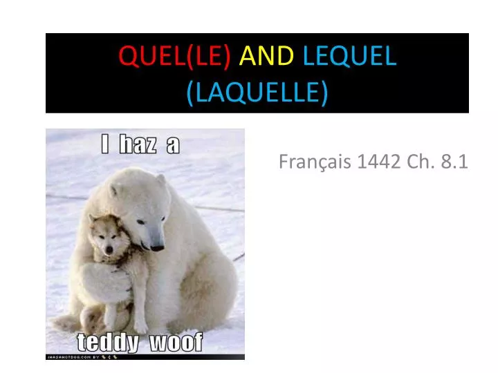 quel le and lequel laquelle