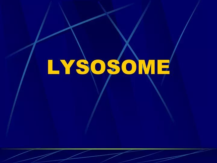 lysosome