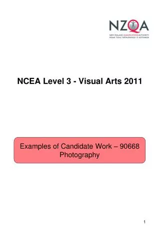 NCEA Level 3 - Visual Arts 2011