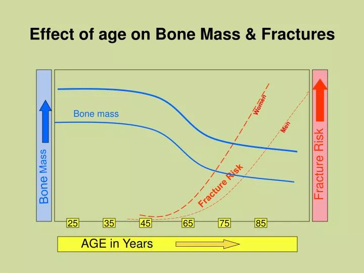 effect of age on bone mass fractures