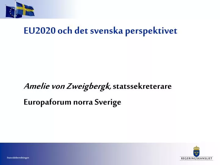 eu2020 och det svenska perspektivet