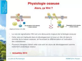 physiologie osseuse