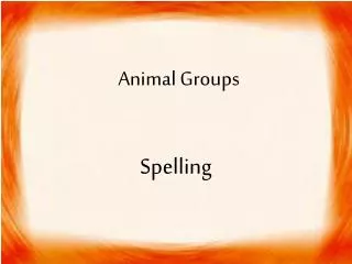 Animal Groups