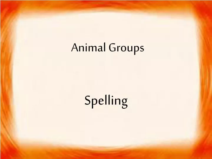 animal groups