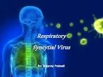 RSV - slide 1