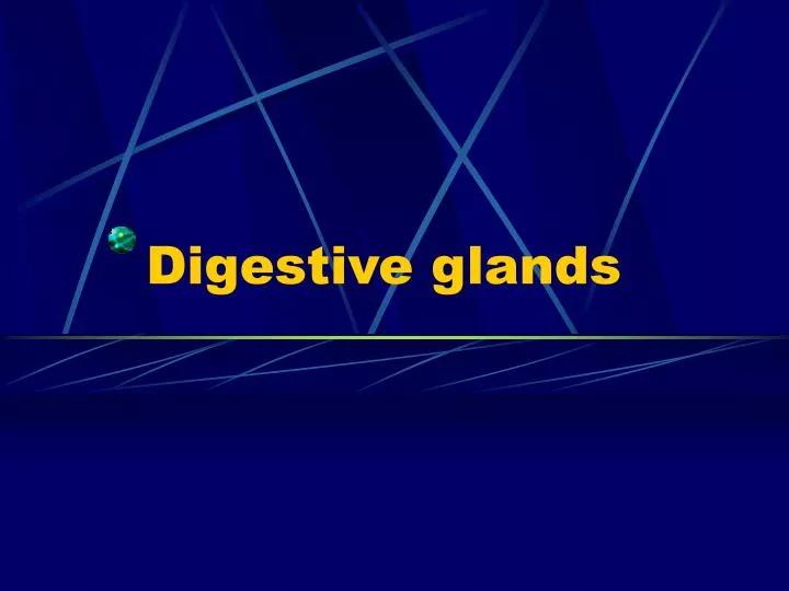 digestive glands
