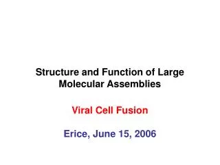 Structure and Function of Large Molecular Assemblies Viral Cell Fusion Erice, June 15, 2006