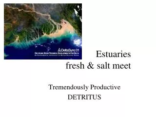 Estuaries fresh &amp; salt meet