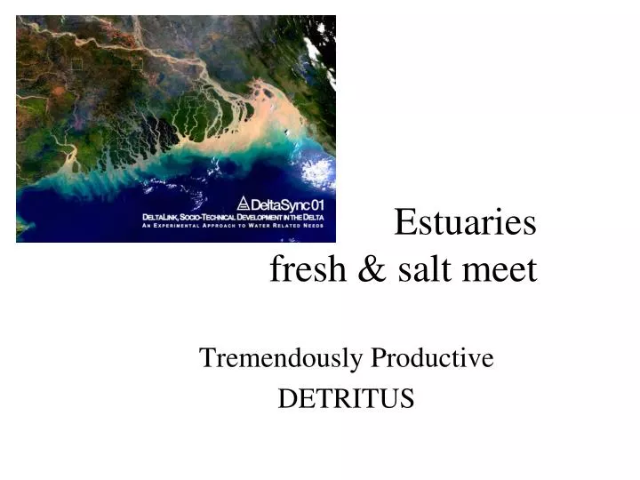 estuaries fresh salt meet