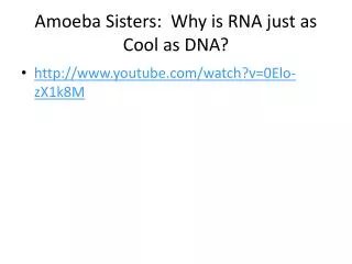 Amoeba Sisters: Why is RNA just as Cool as DNA?