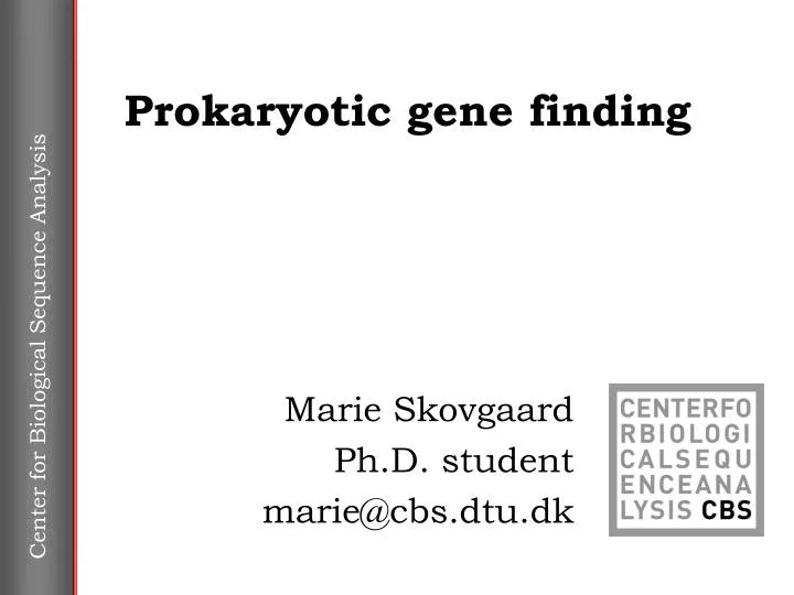 prokaryotic gene finding
