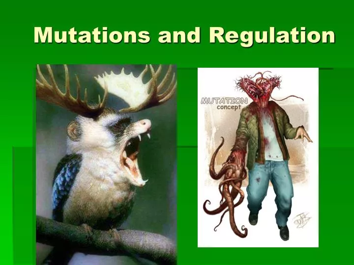mutations and regulation
