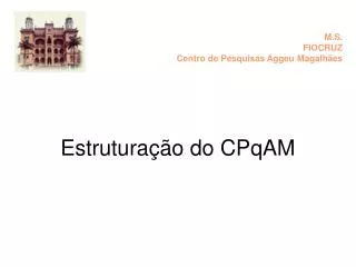 estrutura o do cpqam