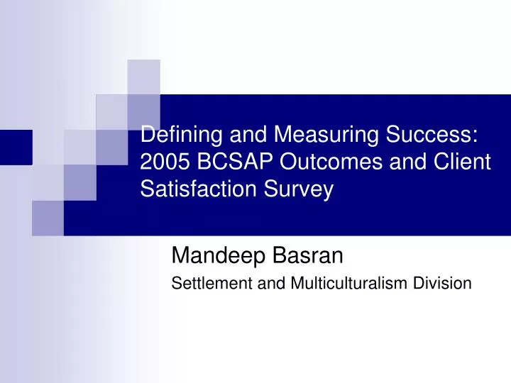 defining and measuring success 2005 bcsap outcomes and client satisfaction survey