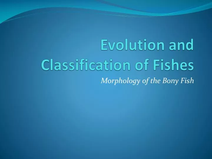 evolution and classification of fishes