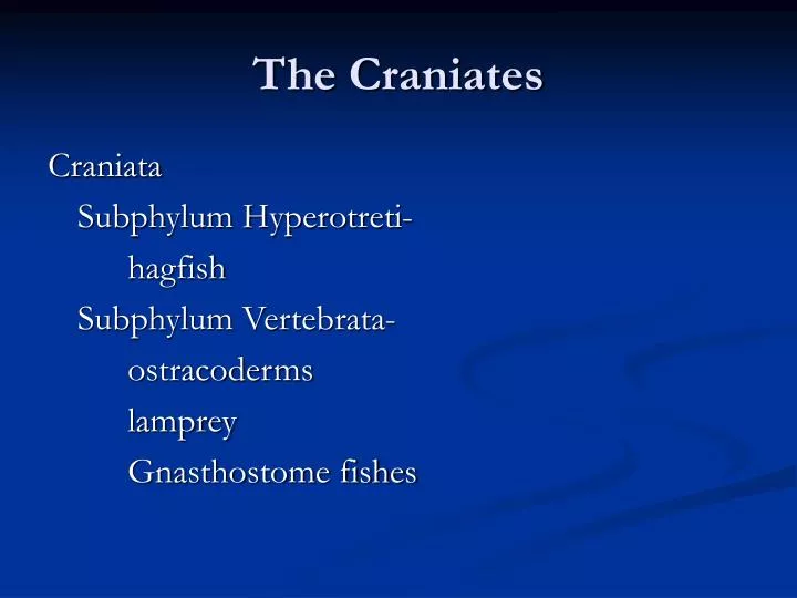 the craniates