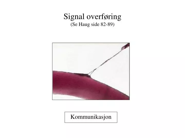 signal overf ring se haug side 82 89