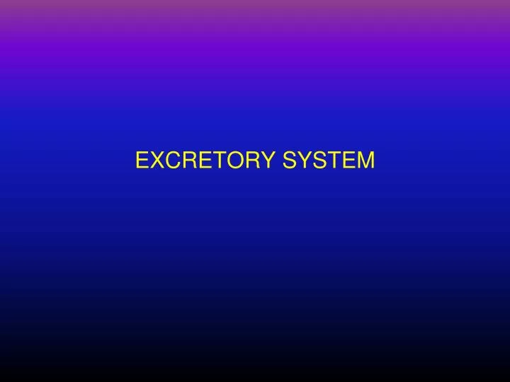 excretory system