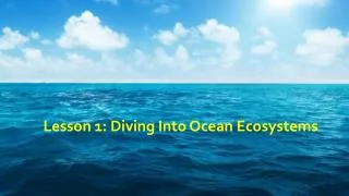 Lesson 1: Diving Into Ocean Ecosystems