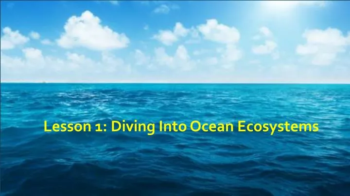 lesson 1 diving into ocean ecosystems