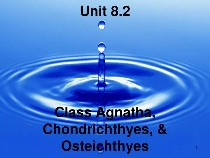 unit 8 2 class agnatha chondrichthyes osteichthyes