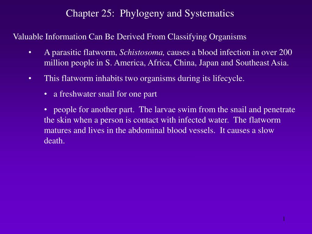 PPT - Chapter 25: Phylogeny and Systematics PowerPoint Presentation ...