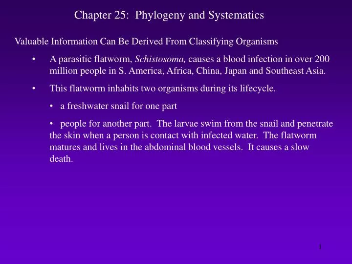 chapter 25 phylogeny and systematics