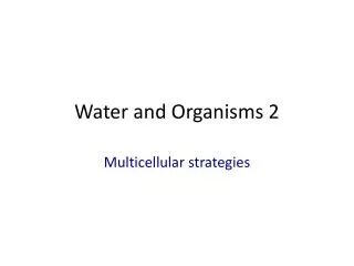 Water and Organisms 2