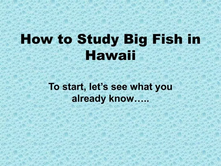 how to study big fish in hawaii