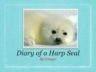 Diary of a Harp Seal
