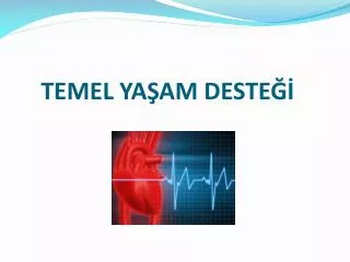 temel ya am deste