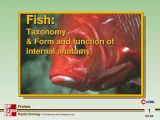 Fish: Taxonomy &amp; Form and function of internal anatomy