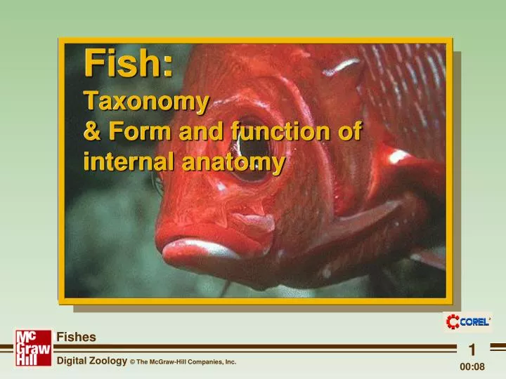 fish taxonomy form and function of internal anatomy