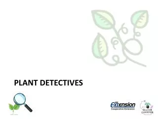 Plant Detectives