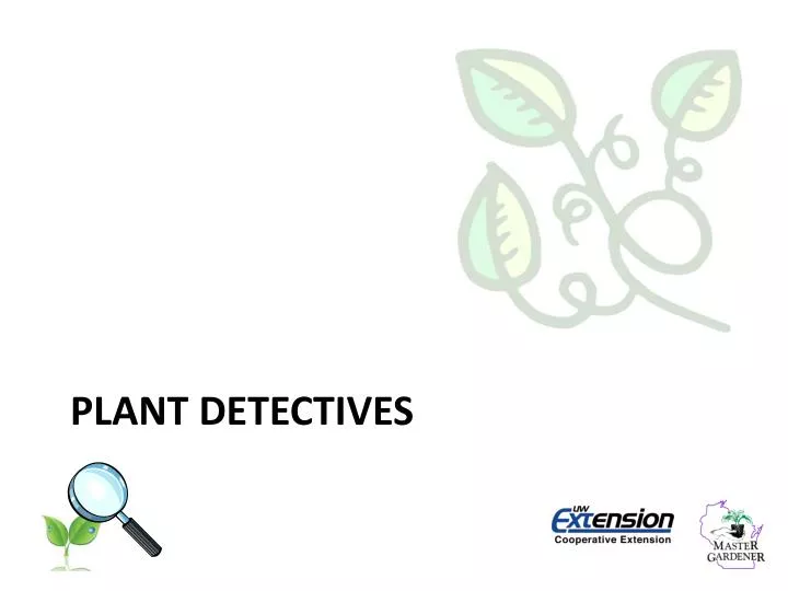 plant detectives