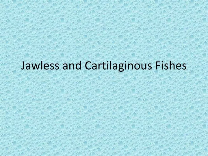 jawless and cartilaginous fishes