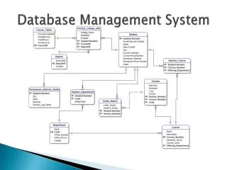 Database Management System