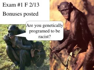 Are you genetically programed to be racist?