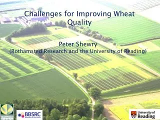 Challenges for Improving Wheat Quality