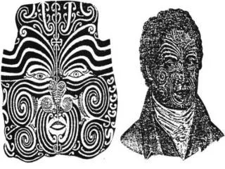The male facial tattoo - Moko - is generally divided into eight sections :
