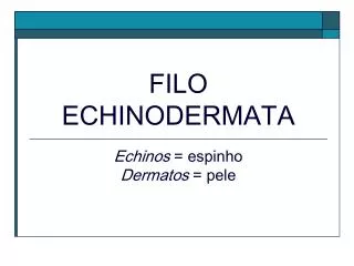 filo echinodermata