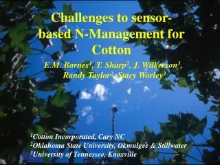 Challenges to sensor-based N-Management for Cotton