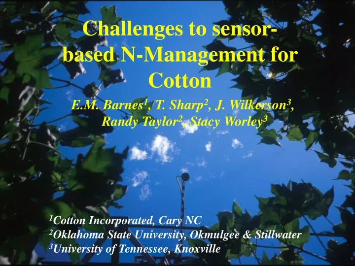 challenges to sensor based n management for cotton