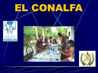 el conalfa