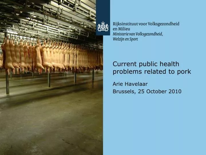 current public health problems related to pork